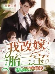 为妾的职业操守在线阅读