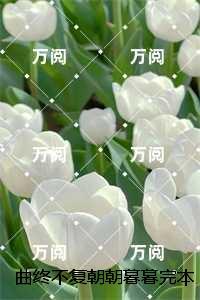 巅峰战神苏轩陈芷晴完结版