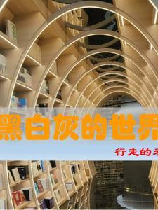 原始动力是什么意思