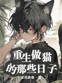 制高点好看吗