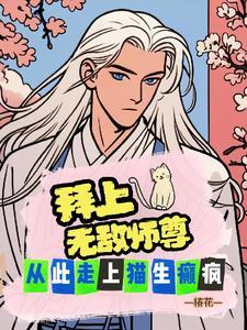 媚果阿胶枣的价格