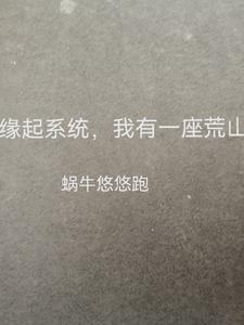 在70年代风生水起无弹窗