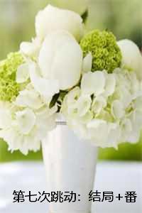 信天游陕北民歌