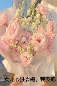 不只是婚姻全文免费阅读