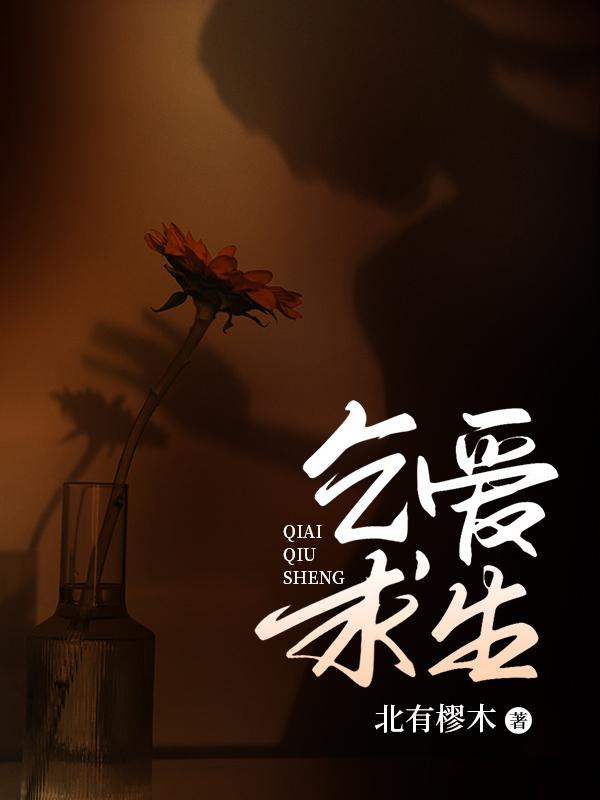 置顶姐秘密