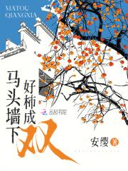 陨落星辰第四季
