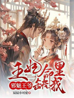 亮剑晋西北打成一锅粥是哪一集