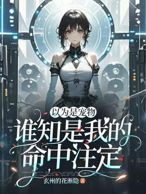 仙路玲珑好看吗