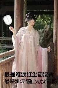 天价前妻不二婚