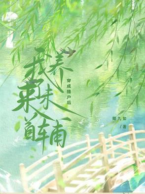 封闭概念