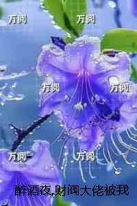 笨蛋就是我