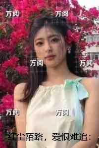 海贼王之我不是玻璃