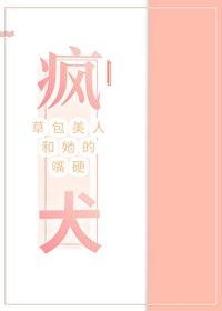 海贼王我不是英雄