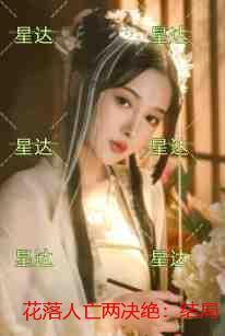 海贼王之我真不是海王 最新章节 无弹窗