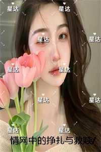 全息之人生赢家