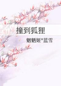 精灵召唤师全文免费阅读