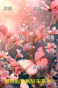 越前失忆是哪一集