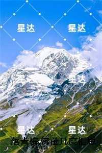 北极熊的爱你记住