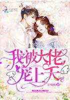 离婚夫妻免费阅读