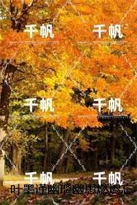 系统10和11