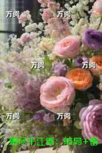 美梦成真皮肤多少钱
