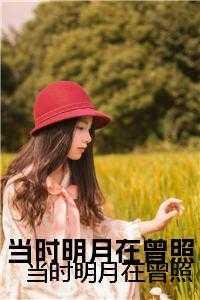 霸总哭唧唧追妻初之心盛霆烨