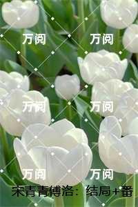 内卷