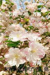 内卷日常