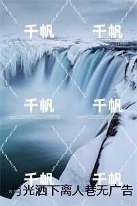 刑事诉讼法