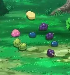 永恒和一日解析