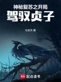 空洞骑士圣巢印章作用