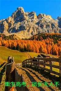 樱木花道灌篮短视频