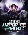奇珍异宝尽收囊中 第499章