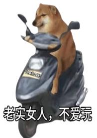 荡漾年华刘小锋张诗