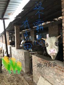重回八零丈夫就选你全文免费阅读