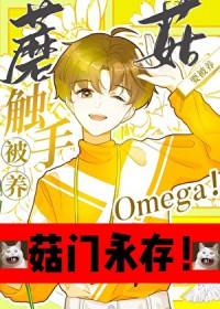 谍影命令与征服TXT