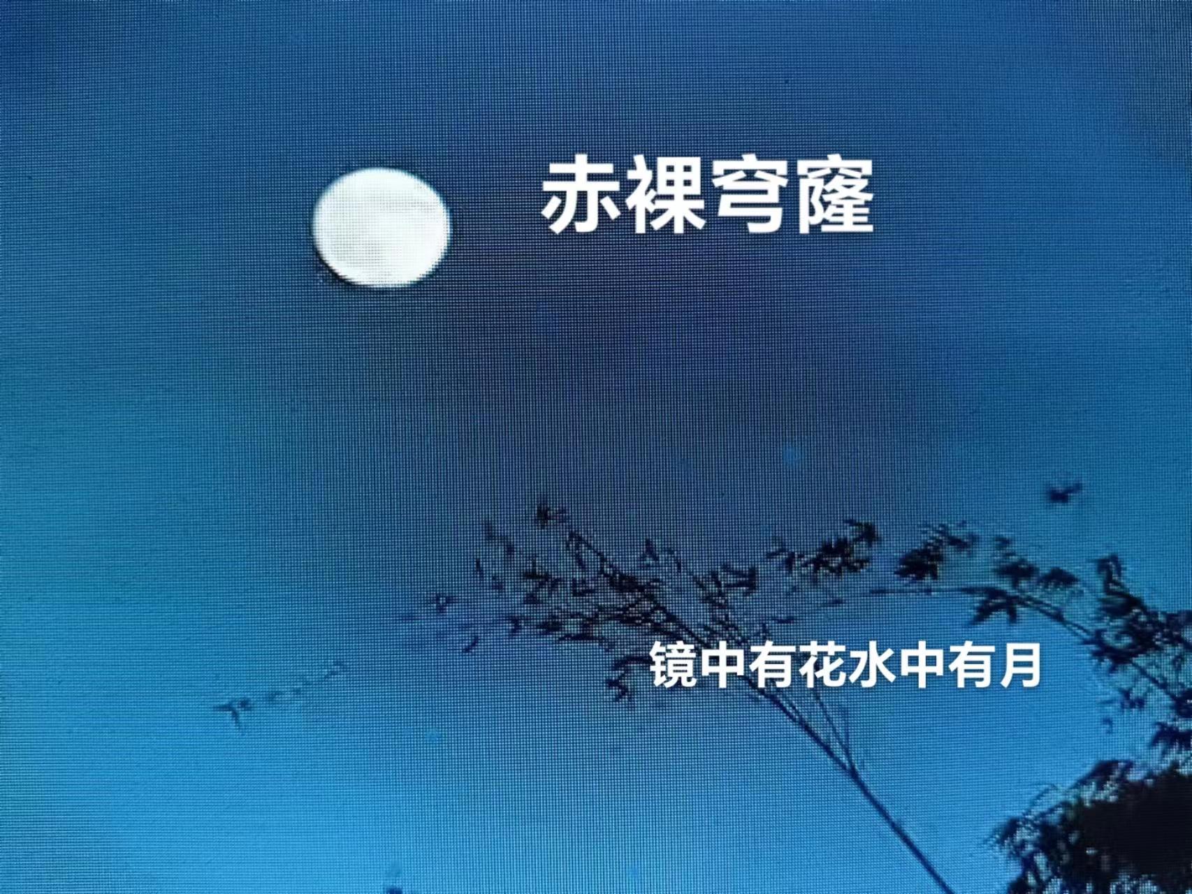我陪大佬东山再起