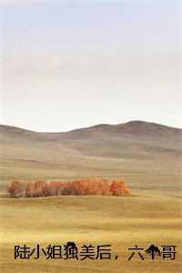 盛世春光讲什么