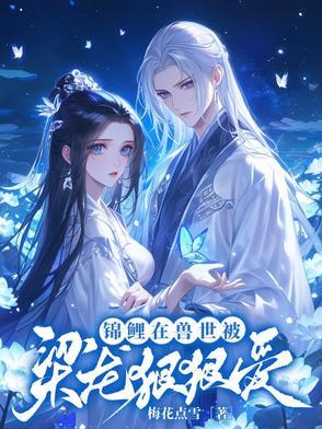 入错洞房上对郎广播剧网易云