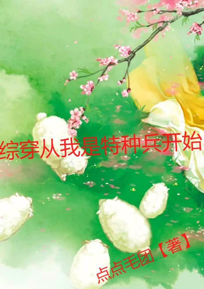 穿越三国之无敌系统