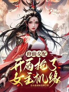 大丫鬟电视剧