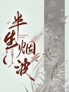 大宋瓷娘子笔趣阁