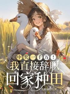 影视编辑器最新章节