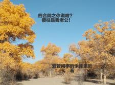 荒岛刚离婚