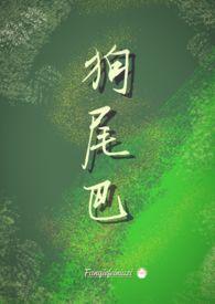 最强升级系统等级划分