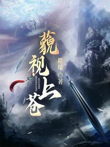 播放谍战特工片
