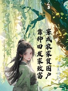 清穿康熙后宫好看