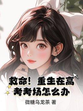 玩家超正义txt精校版