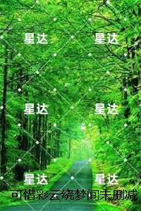 珍珠糖果色好还是白色价值高