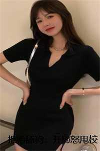 大剑豪是什么意思